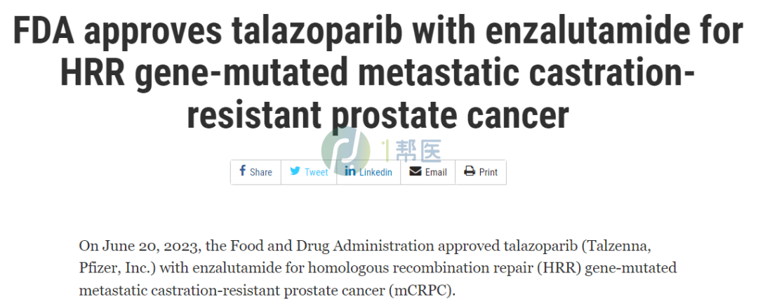 新疗法!FDA批准恩杂鲁胺+Talzenna治疗mCRPC