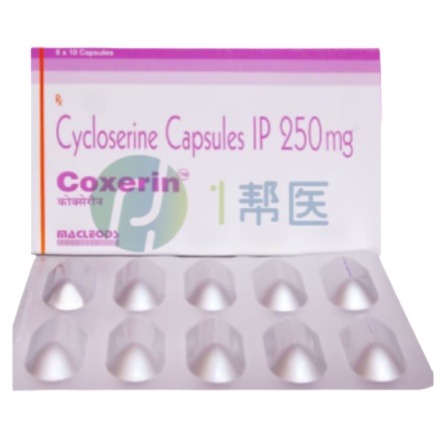 安全用药指南：全面了解环丝氨酸